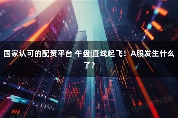 国家认可的配资平台 午盘|直线起飞！A股发生什么了？