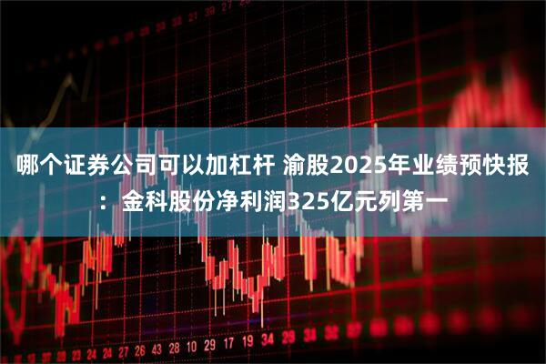 哪个证券公司可以加杠杆 渝股2025年业绩预快报：金科股份净利润325亿元列第一