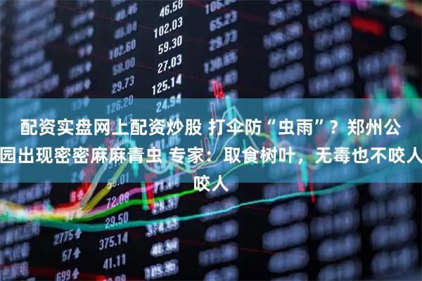 配资实盘网上配资炒股 打伞防“虫雨”？郑州公园出现密密麻麻青虫 专家：取食树叶，无毒也不咬人